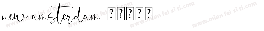 new amsterdam字体转换
